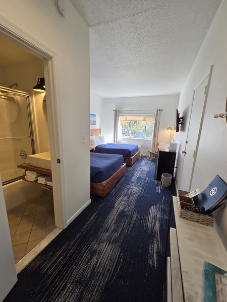 Standard 2 Full Beds Photo 5